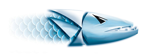 barracuda swimworks logo with color