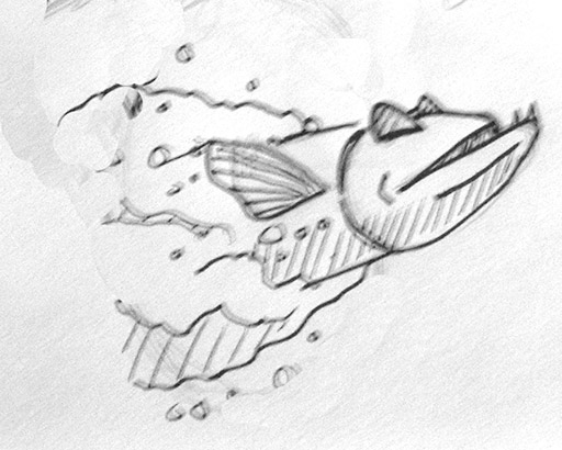 barracuda swimworks logo sketch