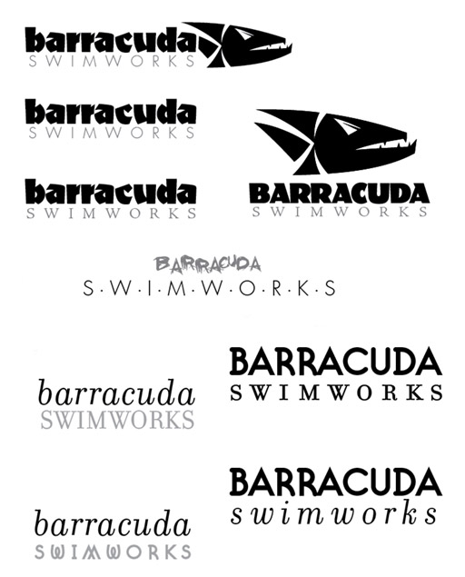 barracuda swimworks logo with text
